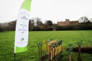 New BTfL collaboration with The Woodland Trust