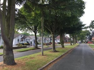 Civic Voice Vice-President says we need to make conservation a national issue and calls on communities to join the Civic Voice Big Conservation Conversation