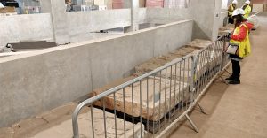 King-Solomon's-Frieze