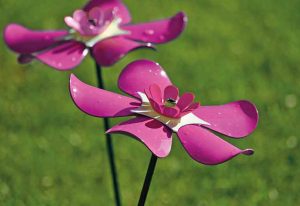 St Mary's Hospice Forget-Me-Not