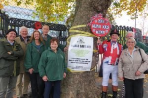 Birmingham City Council Tree Policy