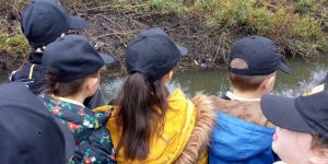 children from year 4 of Audley Primary School visiting Glebe Farm Recreation Ground