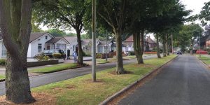 picture of street in Austin Village