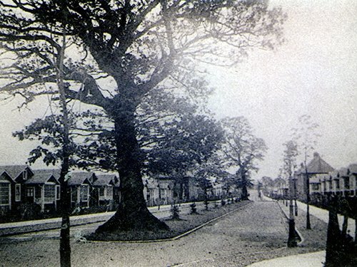 Austin VIllage s treet view